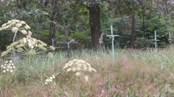 fot.Victoria Tuchołka, 2011r