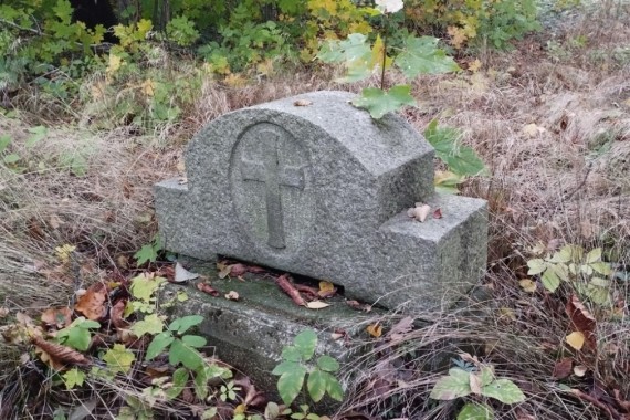 cache/resized/36fbdd3bda93318da355b7af30d9ab5e.jpg