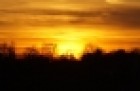 cache/resized/d3d063bc1db1984843cc1be3a998c176.jpg