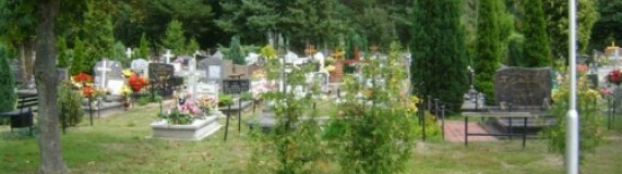 cache/resized/e09682c162dc9c79d01942d906fddf8c.jpg