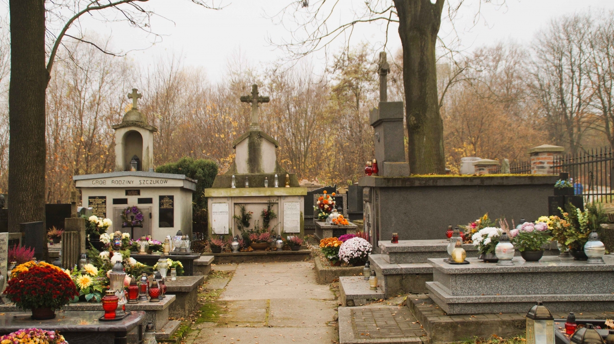 Cmentarz Św. Salwatora, Salwator, Kraków [GALERIA]