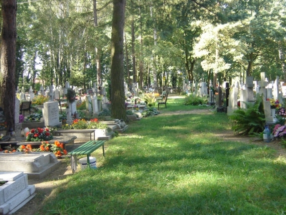 Cmentarz Płonia, Szczecin