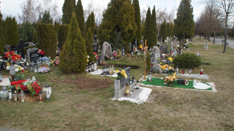 Cmentarz komunalny, ul. Słowiańska, Świdnica [GALERIA]