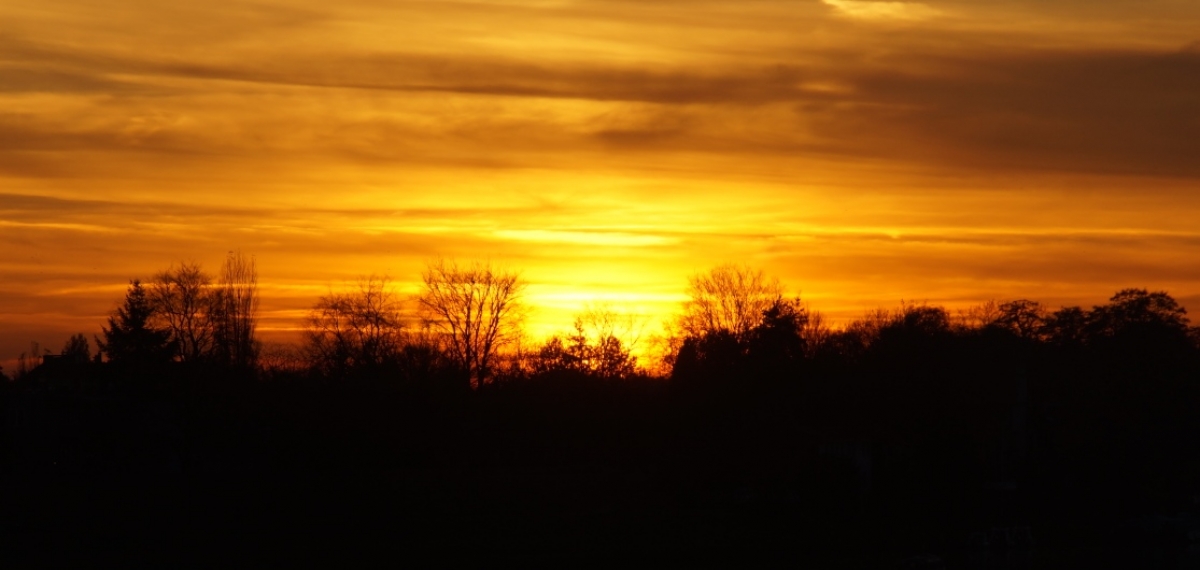 Cmentarz parafii Przemienienia Pańskiego, Szpikołosy, gmina Hrubieszów