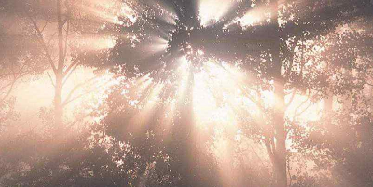 Cmentarz Sarnowski, nieczynny, ul. Gajowa, Rawicz