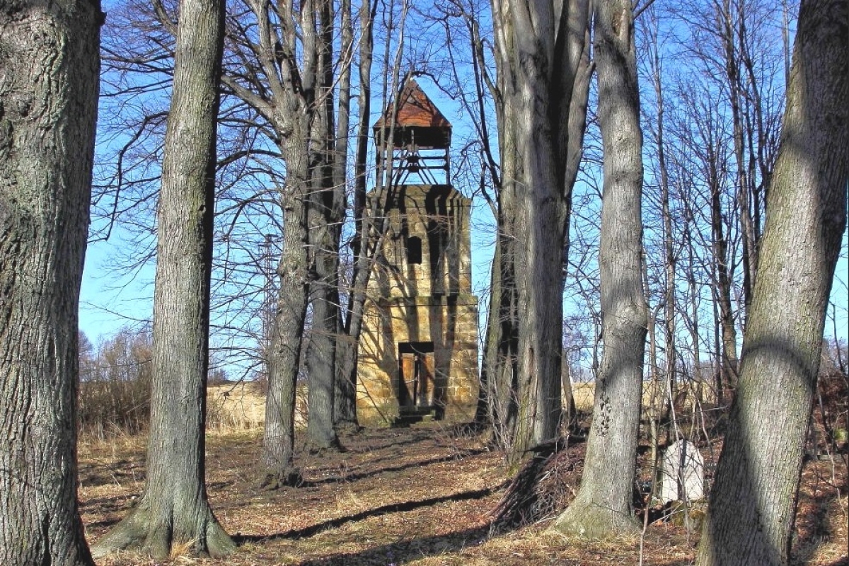 Cmentarz ewangelicki (nieczynny), Janice, gmina Lubomierz