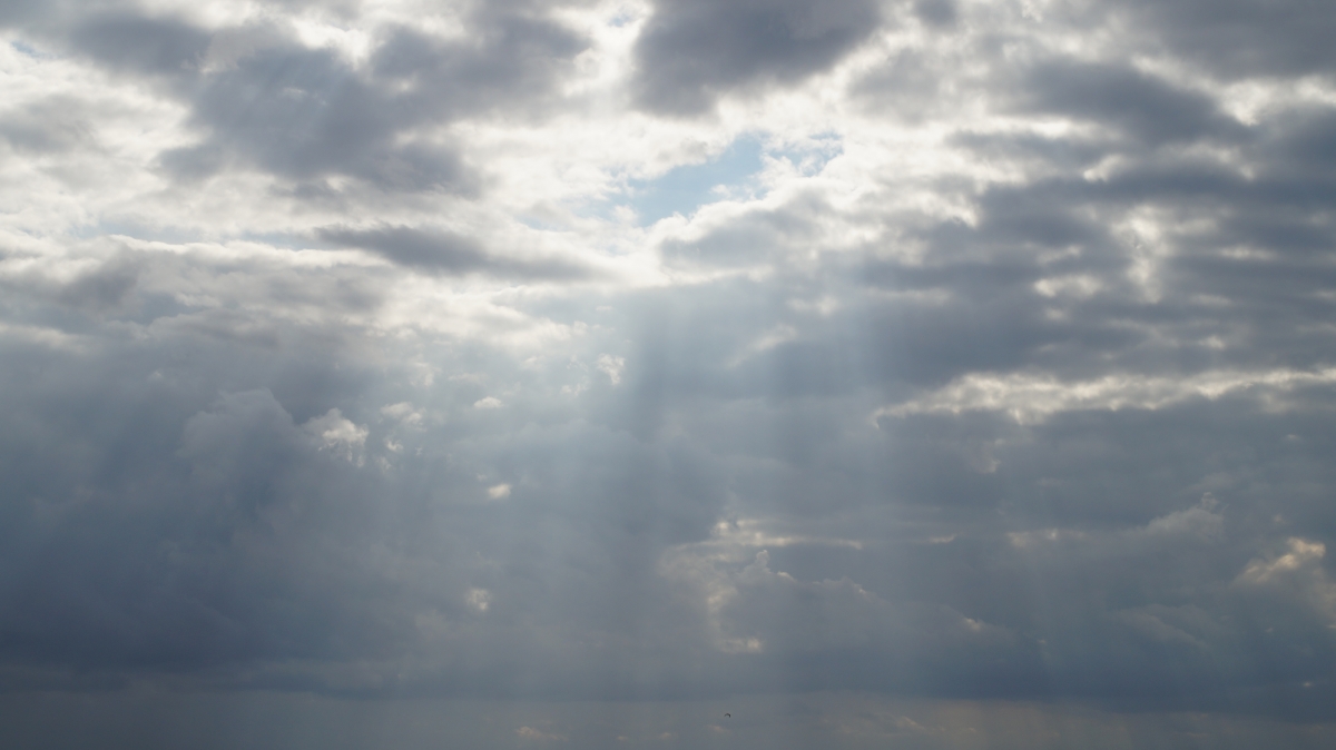 Cmentarz komunalny, ul. Lipowa, Świerzawa,