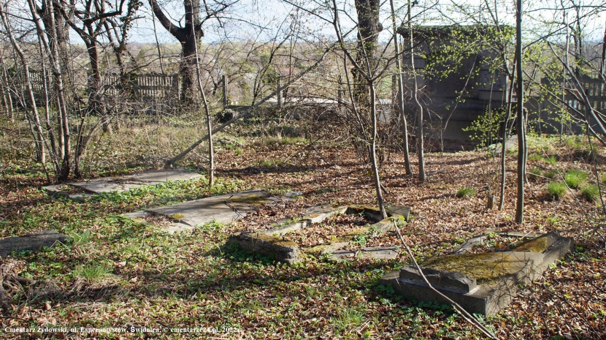 Cmentarz żydowski, Świdnica