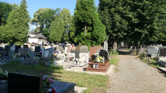 Cmentarz parafii  Niepokalanego Poczęcia NMP, ul. Długosza, Wałbrzych