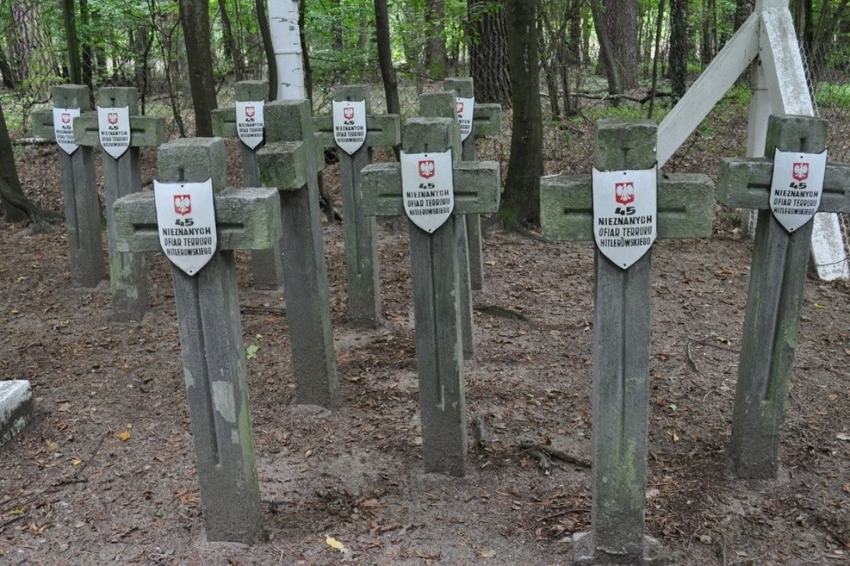 Cmentarz wojenny z II wojny światowej, Las Ościsłowicki, gmina Glinojeck