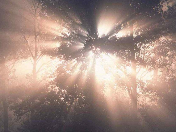 Cmentarz komunalny, Zgorzelec, ul. Słowiańska