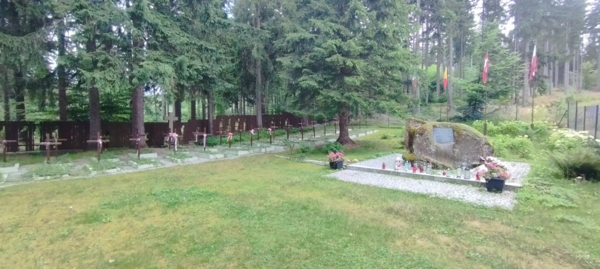 Cmentarz wojenny, Borowice, gmina Podgórzyn [GALERIA]