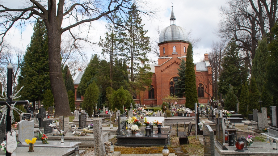 Cmentarz komunalny, ul. Łukasińskiego, Świdnica [GALERIA]