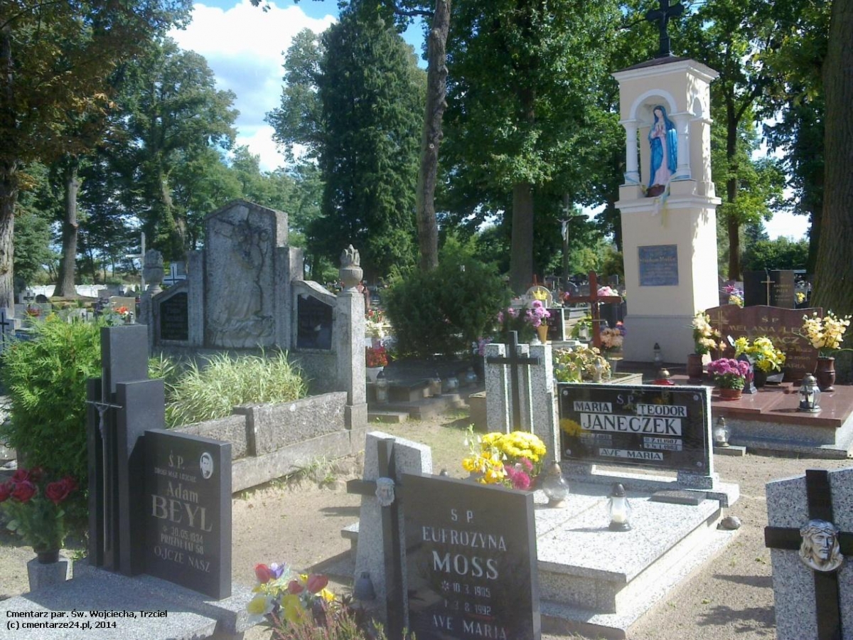 Cmentarz parafii Św. Stanisława Biskupa i Męczennika z Miedzichowa, Trzciel