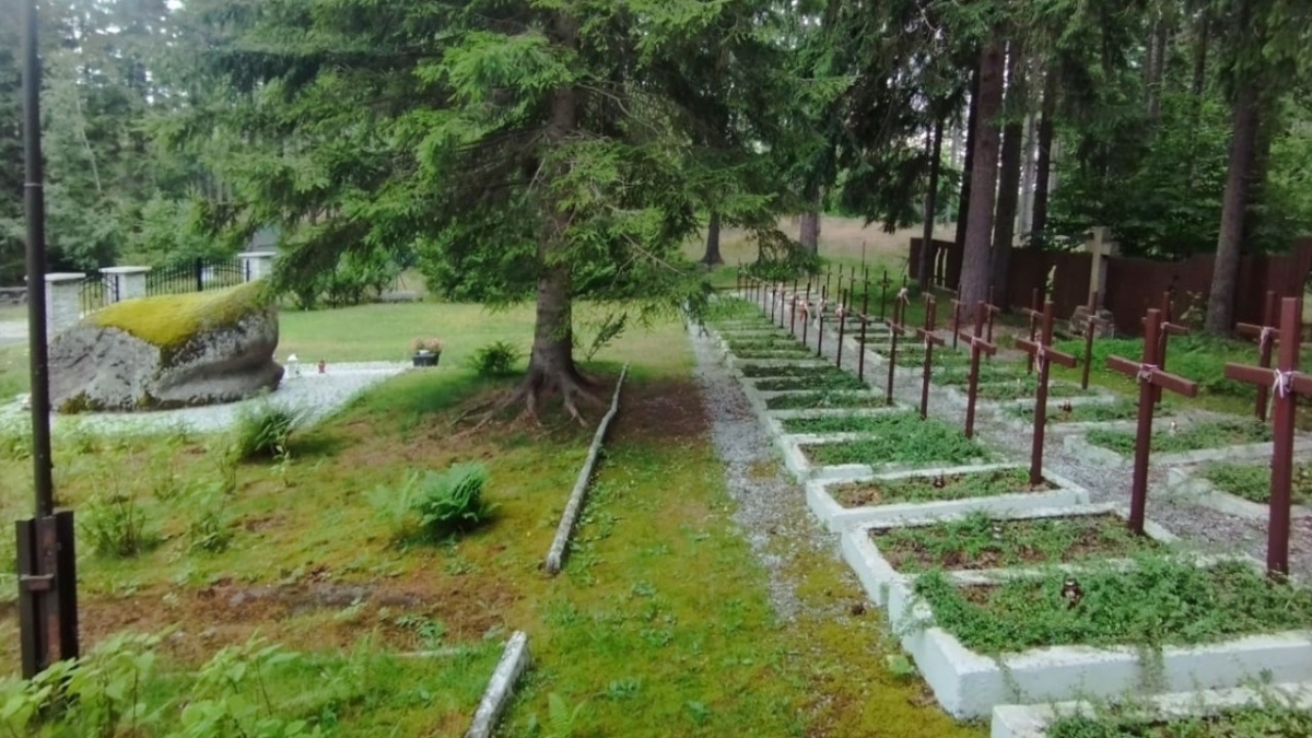 Cmentarz wojenny, Borowice, gmina Podgórzyn