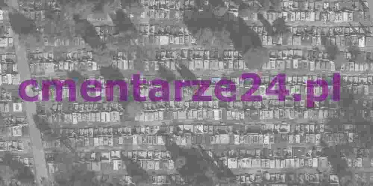 Cmentarz żydowski, nowy, nieczynny, Szczekociny