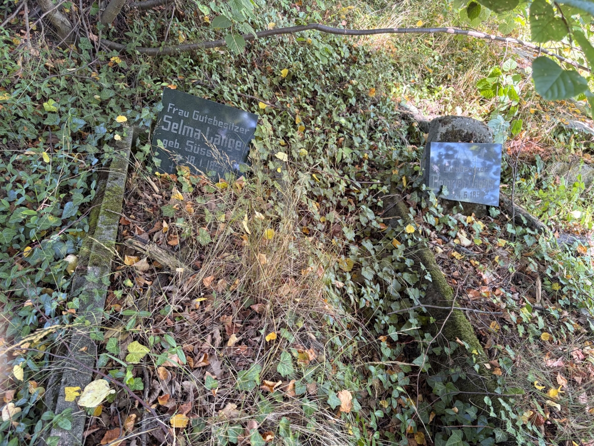 Cmentarz ewangelicki, nieczynny, Pogorzała, gmina Świdnica