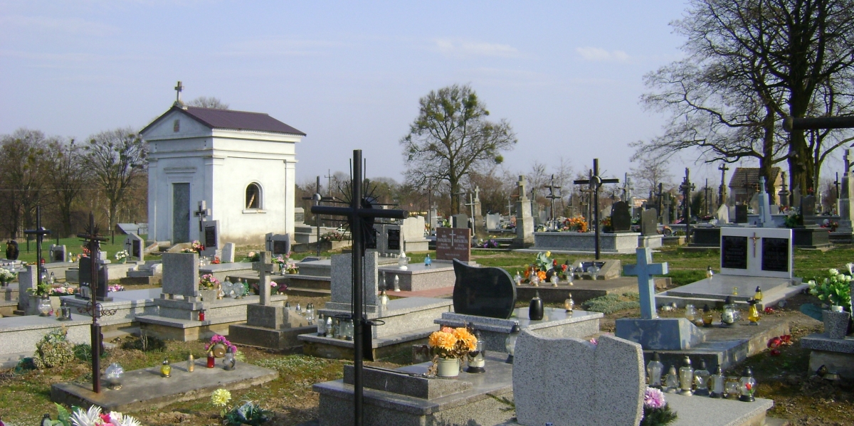 Cmentarz parafii pw. Trójcy Przenajświętszej i Narodzenia Najświętszej Marii Panny, Trzeszczany