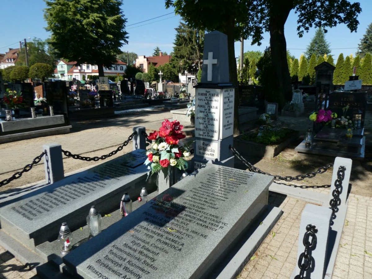 Cmentarz stary parafii pw. Wniebowzięcia Najświętszej Maryi Panny, Witaszyce, gmina Jarocin [GALERIA]