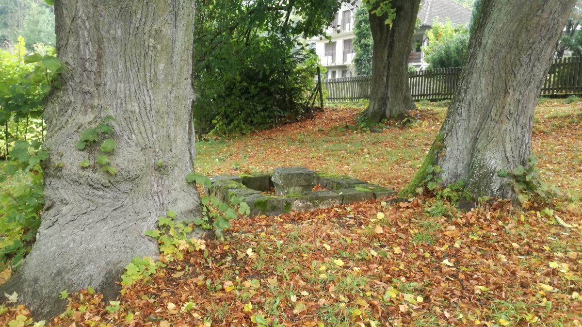 Cmentarz parafii ewangelicko-reformowanej, nieczynny, Pstrążna, Kudowa - Zdrój