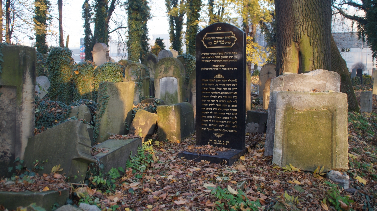 Nowy cmentarz żydowski, Kraków [GALERIA]
